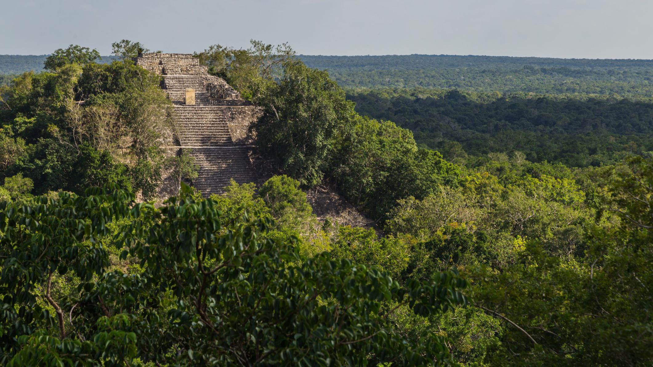 Foto kuil piramida Maya Calakmul Mayan di Campeche, Mexico