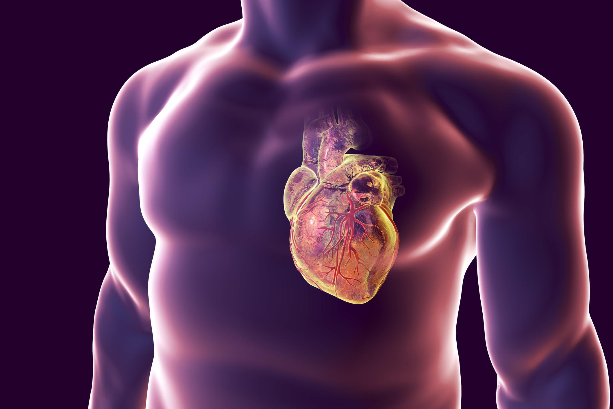 why-is-heart-disease-more-common-in-young-people-news-directory-3