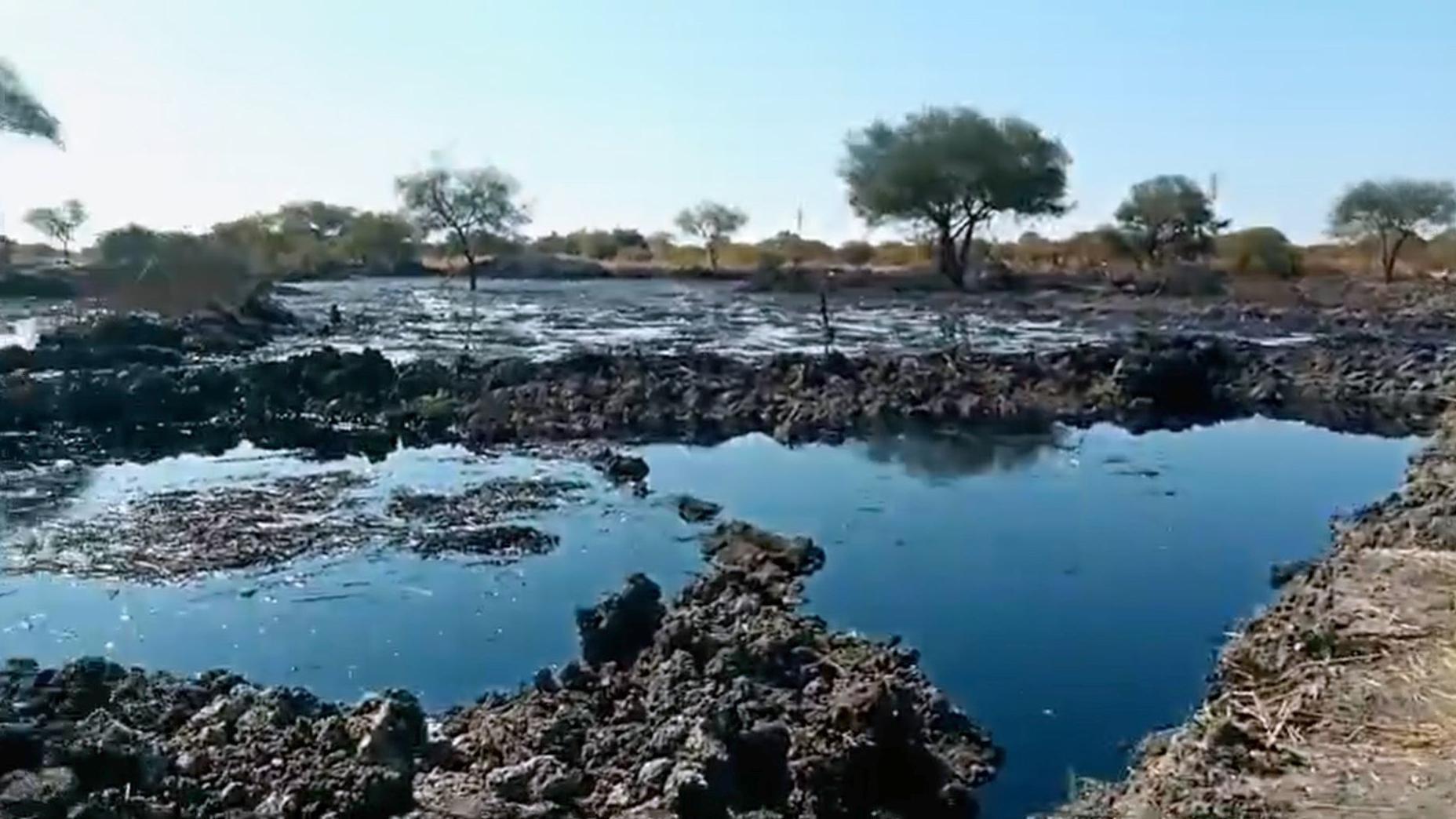 Poças de líquido escuro, cercadas por terra escura, com um banco de terra mais clara de um lado e árvores ao fundo, tiradas em 2019 após o rompimento de um oleoduto 