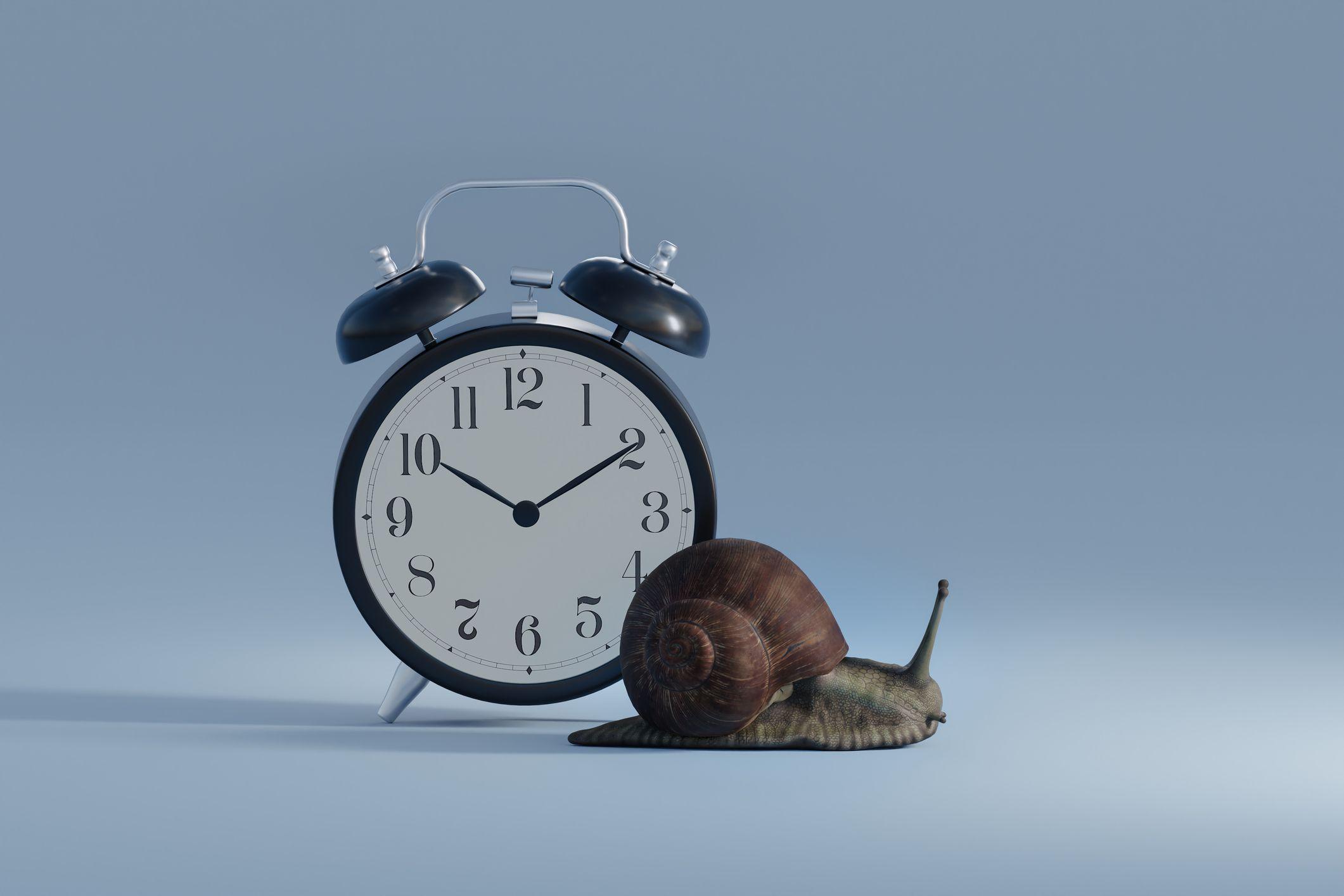 Un reloj con un caracol.