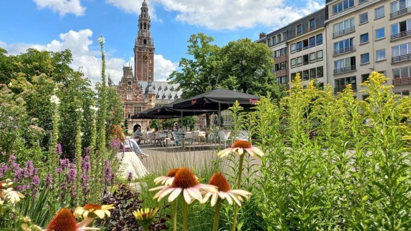 área verde na cidade de Lovaina