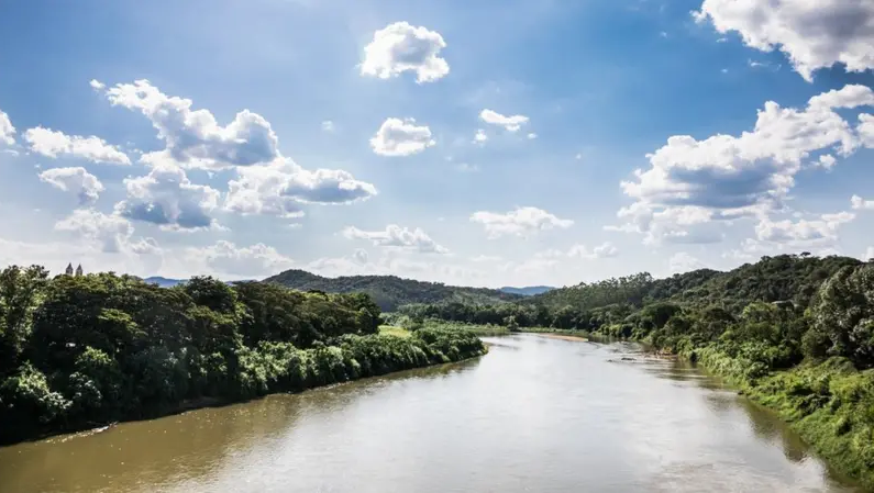 Rio com mata nas margens