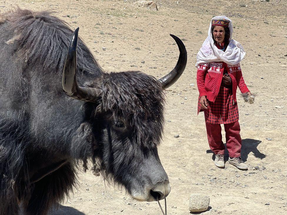 پامیر