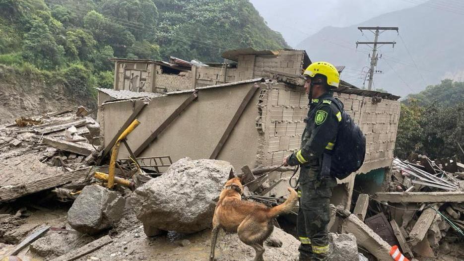 Un rescatista con un perro entre los escombros