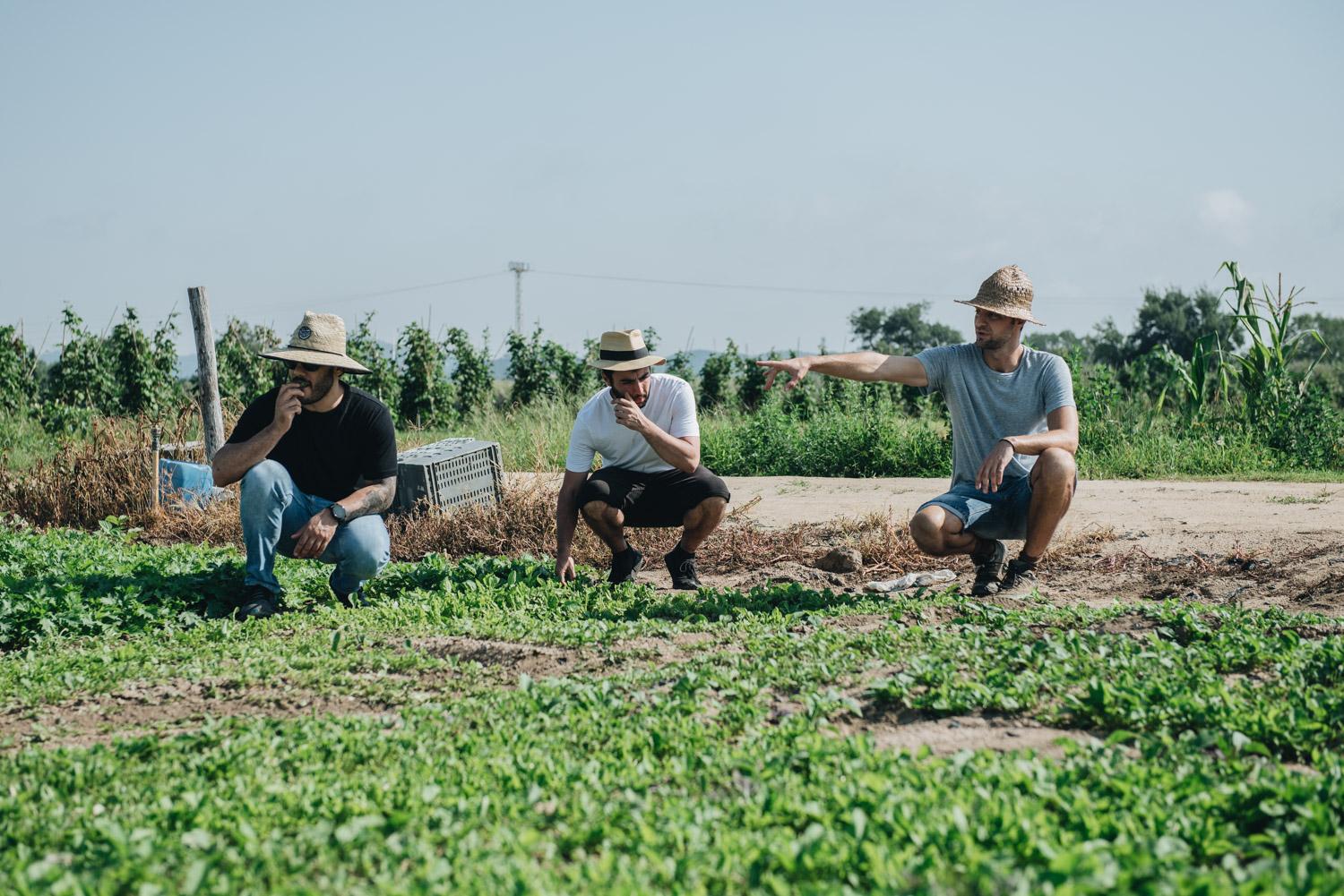 Rafael Panatieri e seu sócio espanhol, Jorge Sastre, em horta com produtor local