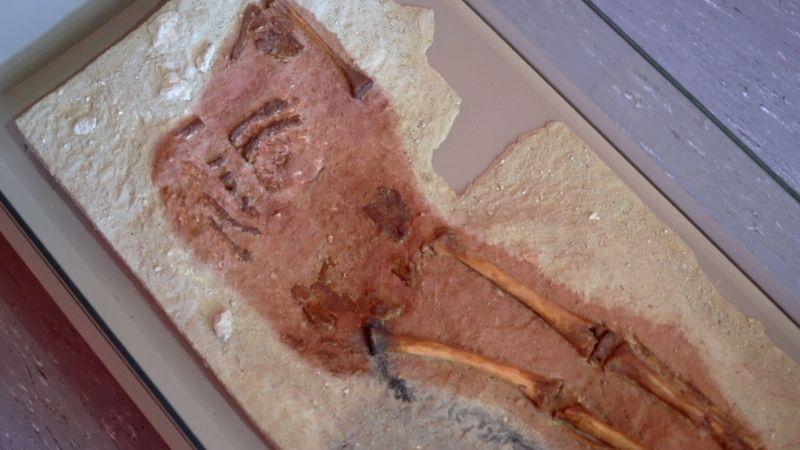 Esqueleto encontrado em local de escavação