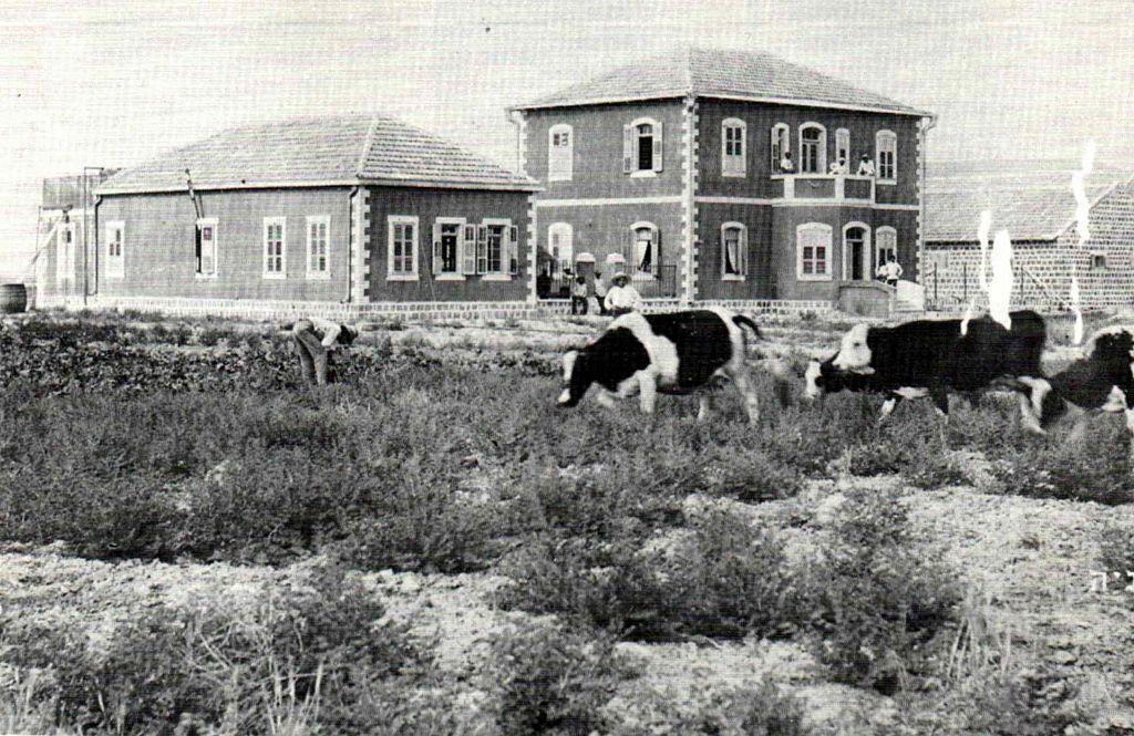 Primeras casas del primer kibutz, Degania. 