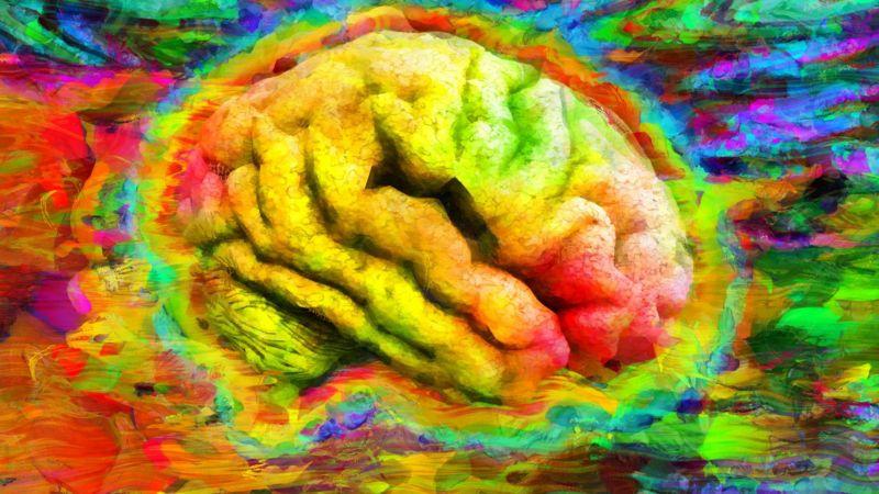 Cérebro pintado com cores diversas