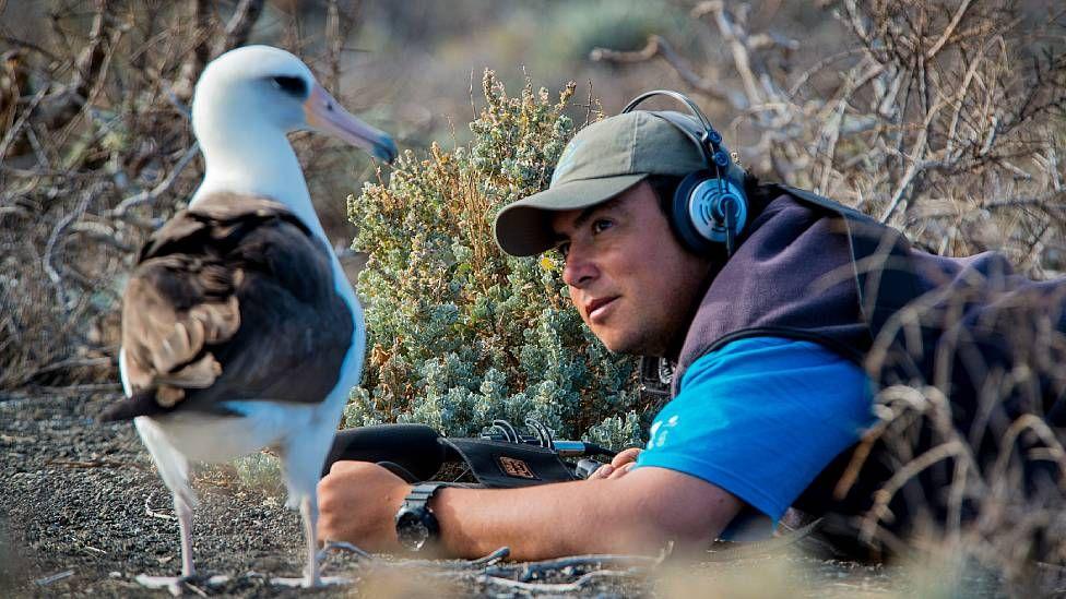 Julio Hernández Montoya y un albatros de Laysan en la Isla Guadalupe