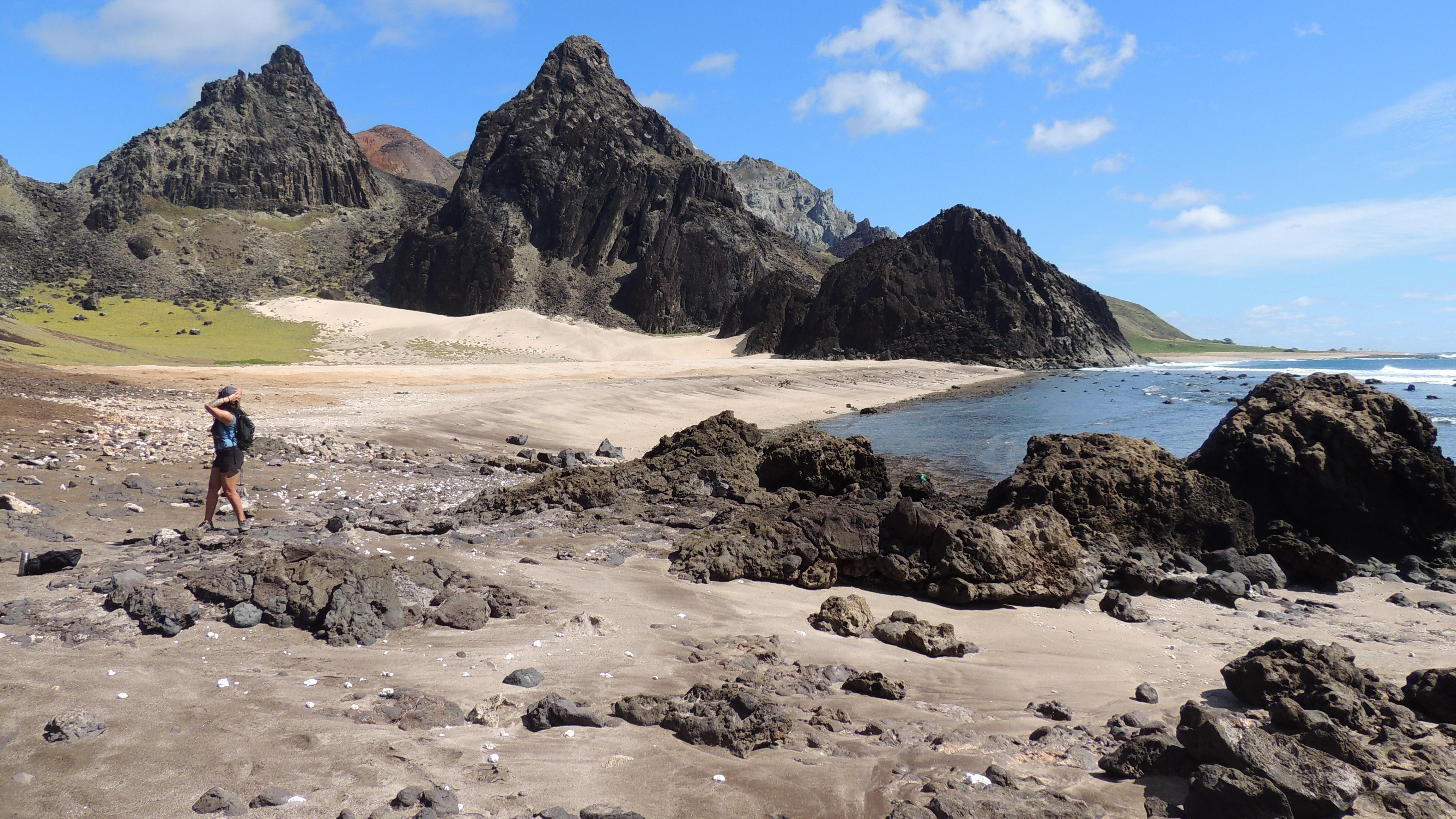 View of Turtles' Beach