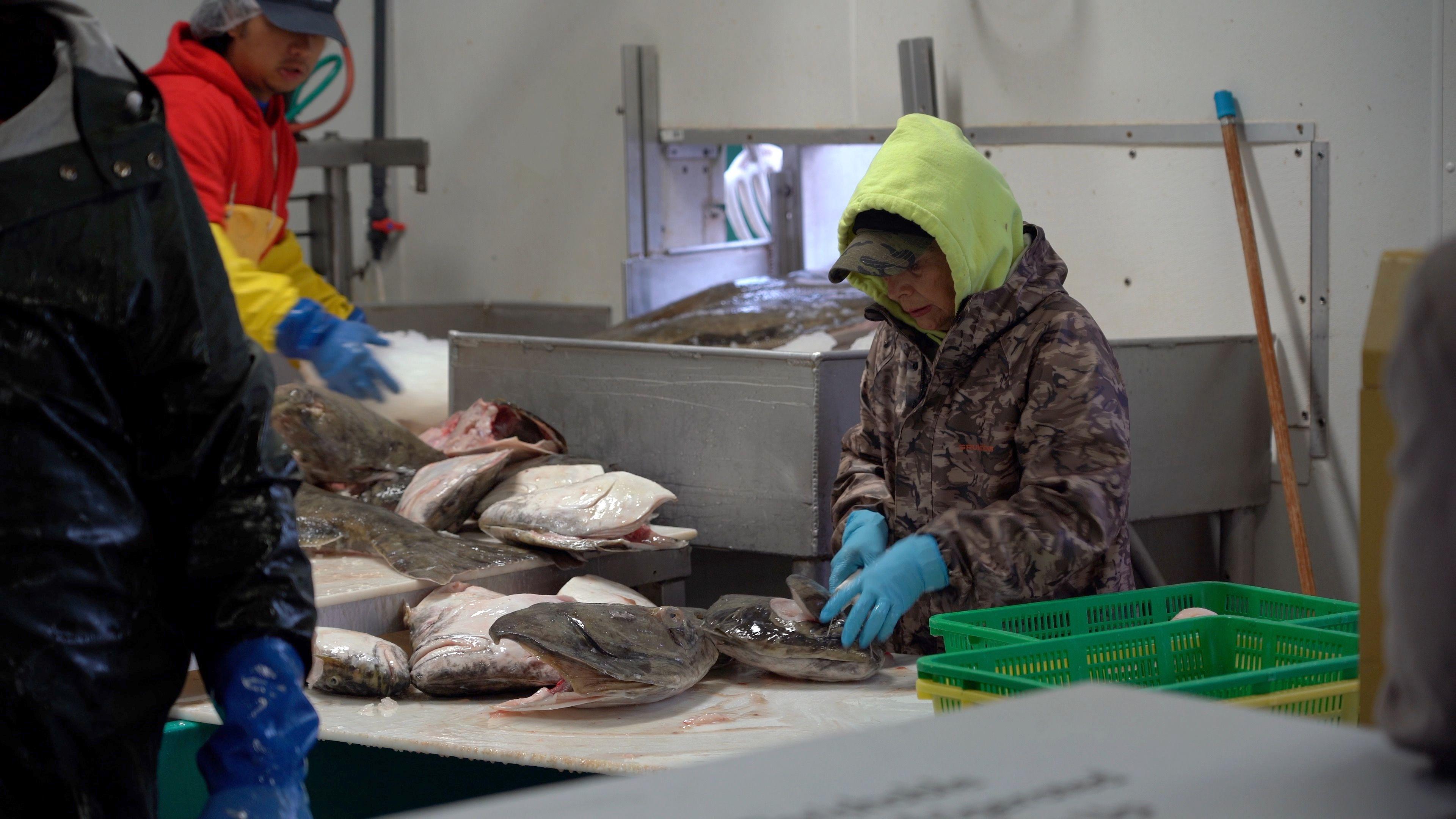 Trabajadores preparan el pescado en una planta procesadora en Alaska. 