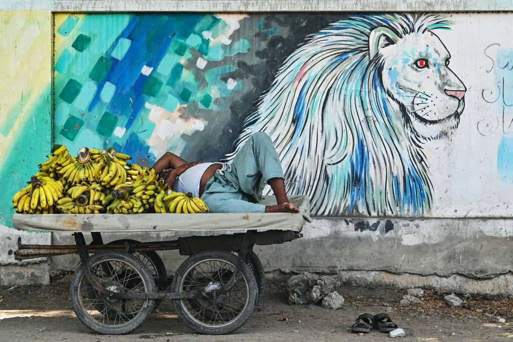 vendor