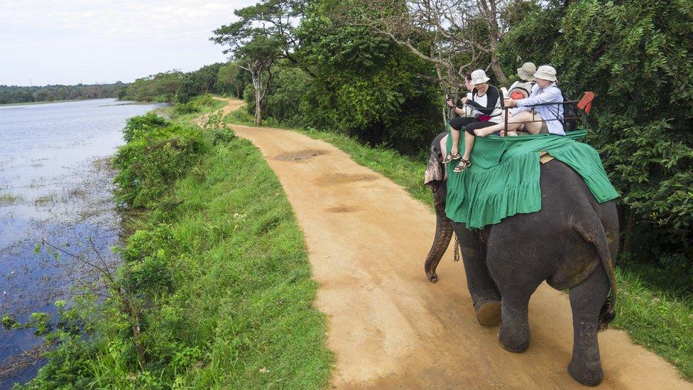 Um elefante carregando um grupo de turistas