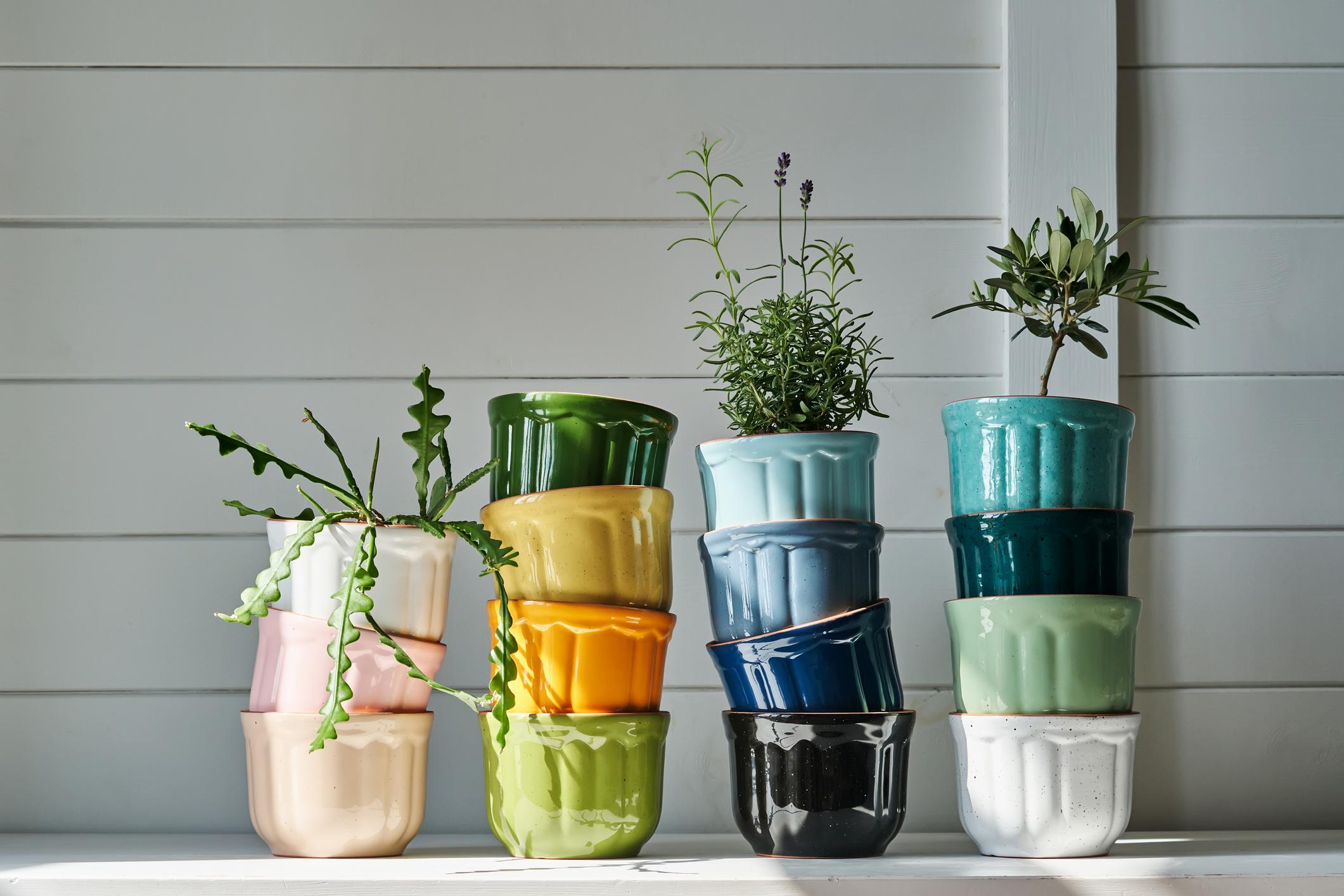 Vários vasos de plantas coloridos, um dentro do outro