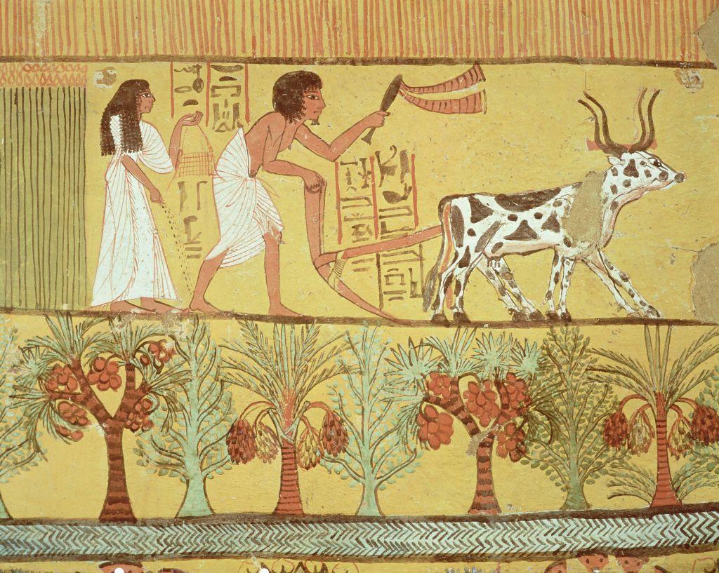 منظر عام لنشاط الزراعة وخيرات النيل في مصر القديمة