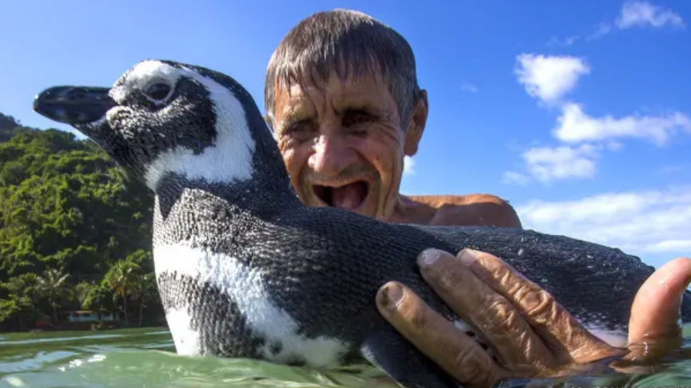 João Pereira de Souza con el pingüino