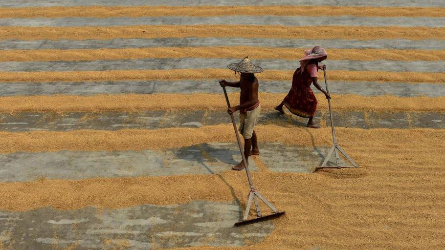 Trabalhadores arando a terra em zona rural da Índia