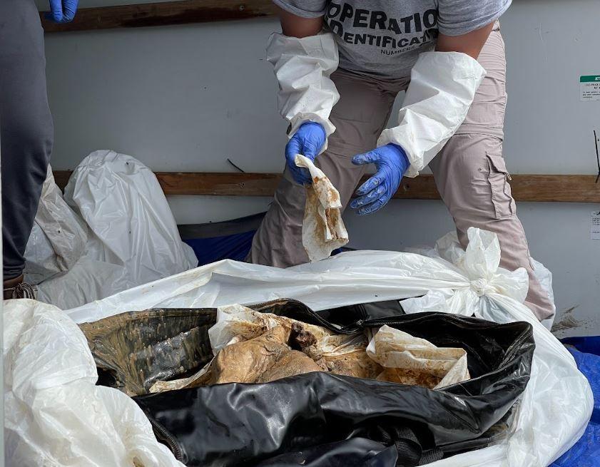 Detalle de uno de los cadáveres transportados por el equipo de Operation Identification a Freeman Ranch en San Marcos, Texas, el 24 de abril de 2024.