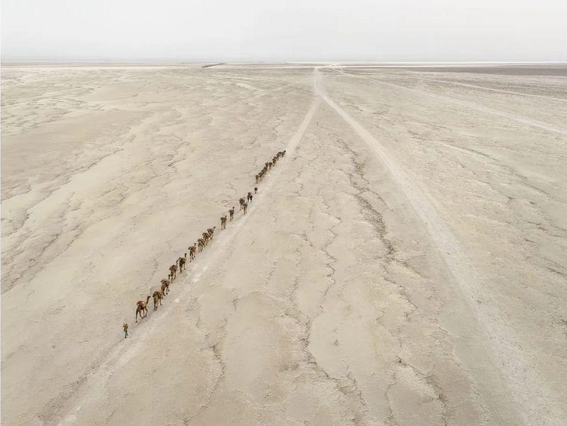 Caravana de camelos