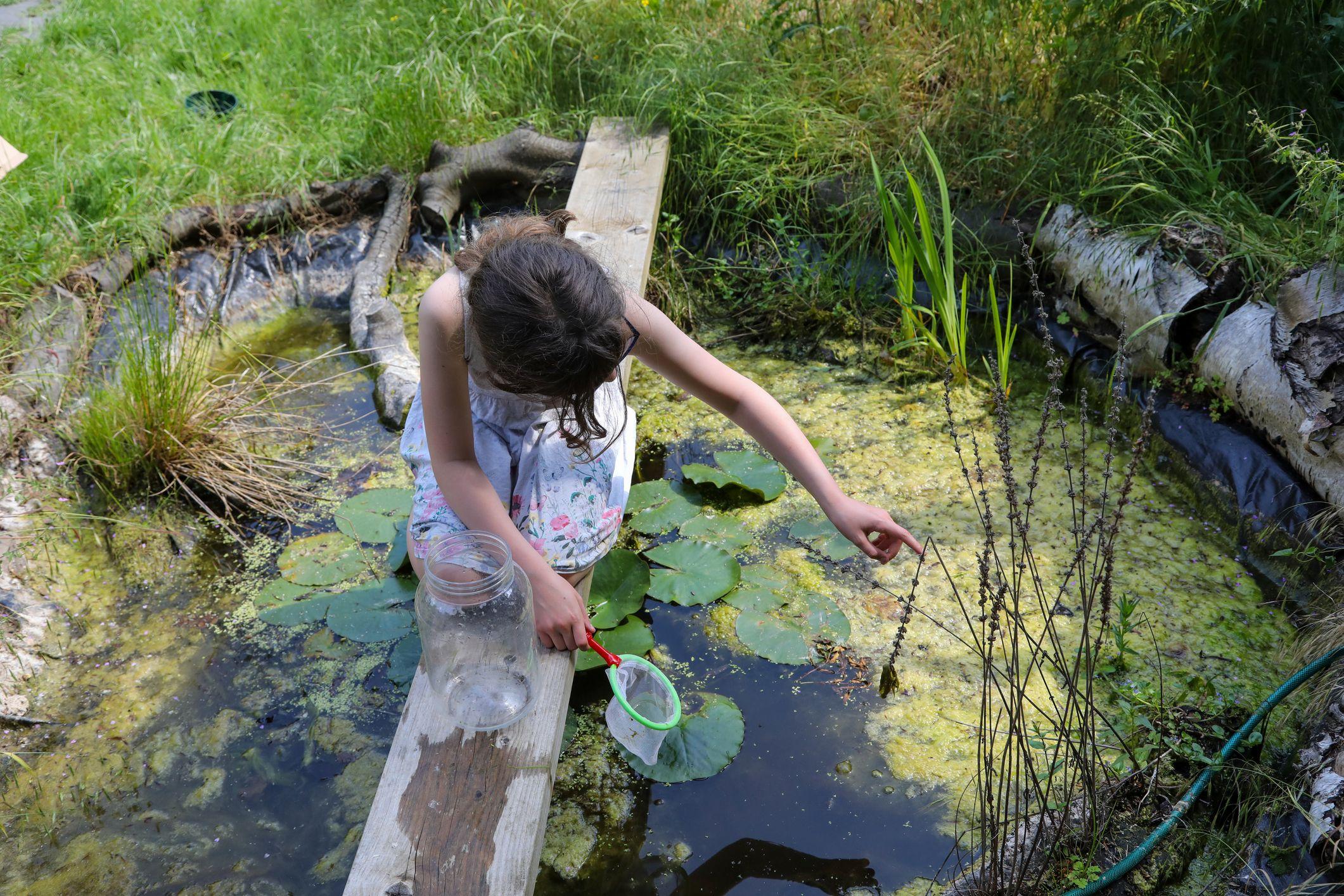 Una niña explora un lago