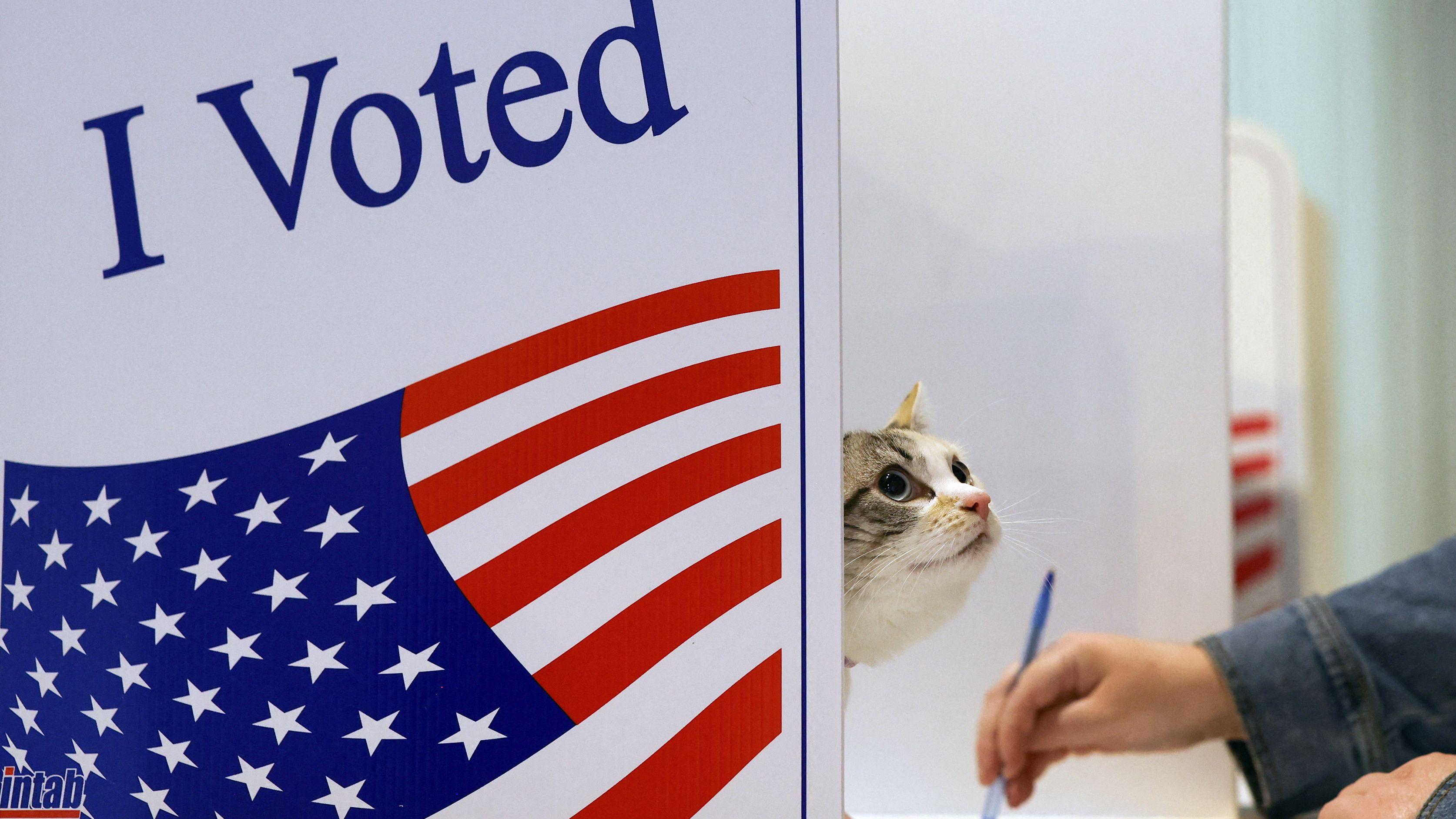 In pictures: US election day 2024