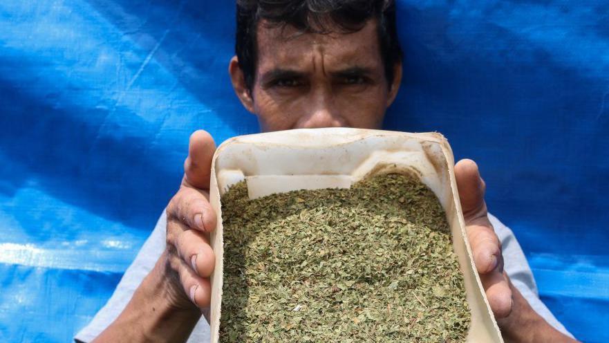 Petani di Pontianak menunjukkan kratom yang sudah diolah menjadi remahan