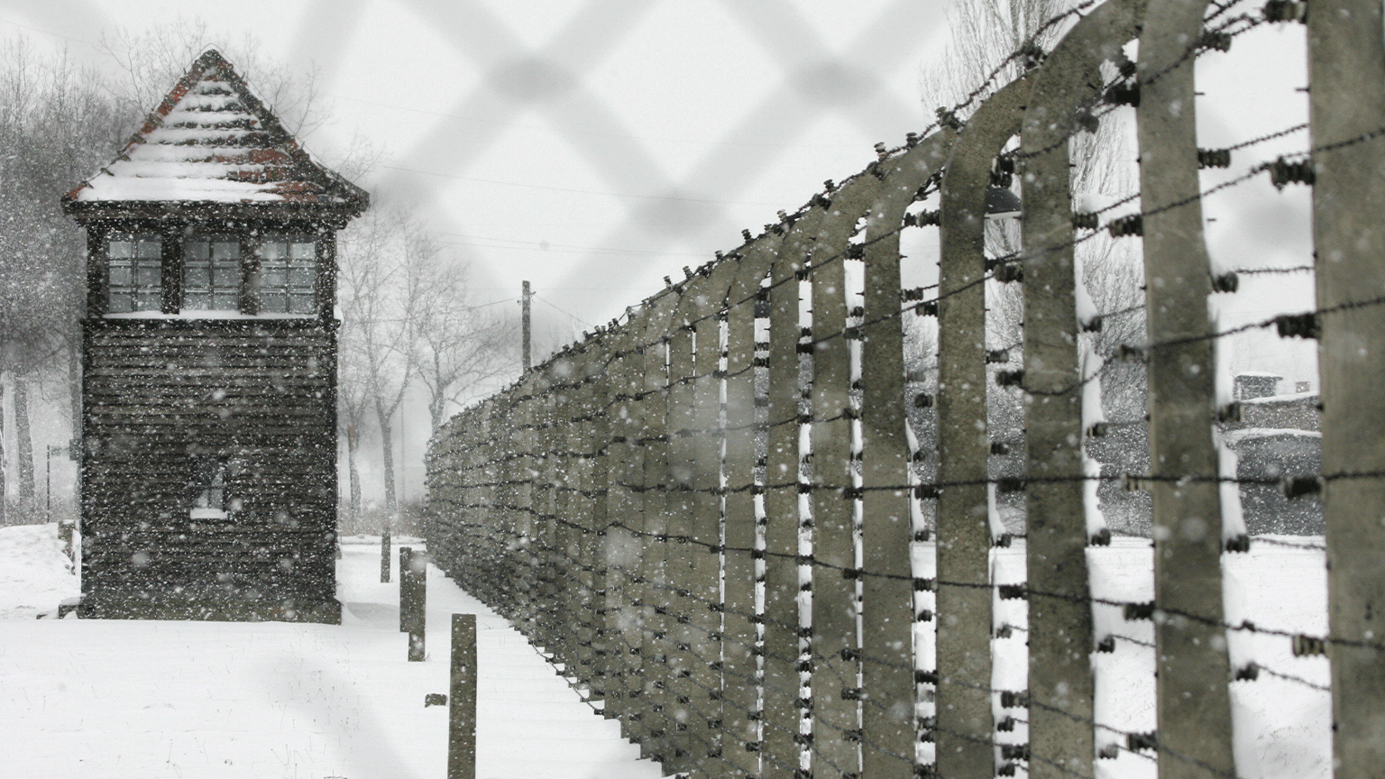 Vista del alambre de púas en Auschwitz-Birkenau. Está nevando.