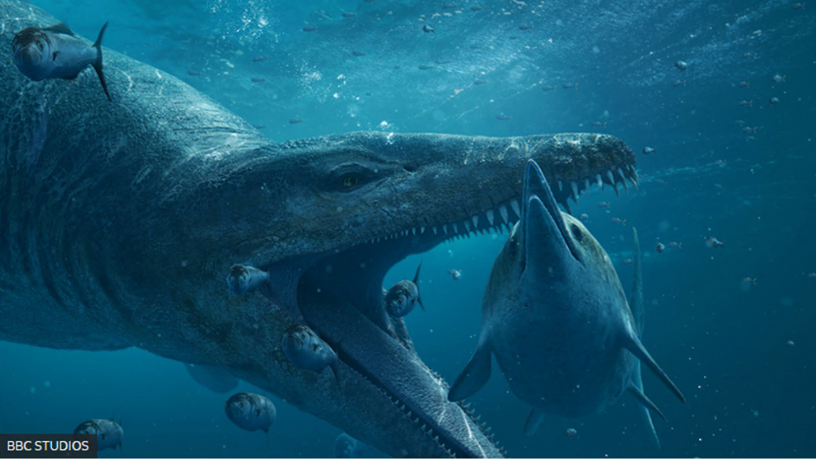 Una ilustración de un pliosaurio