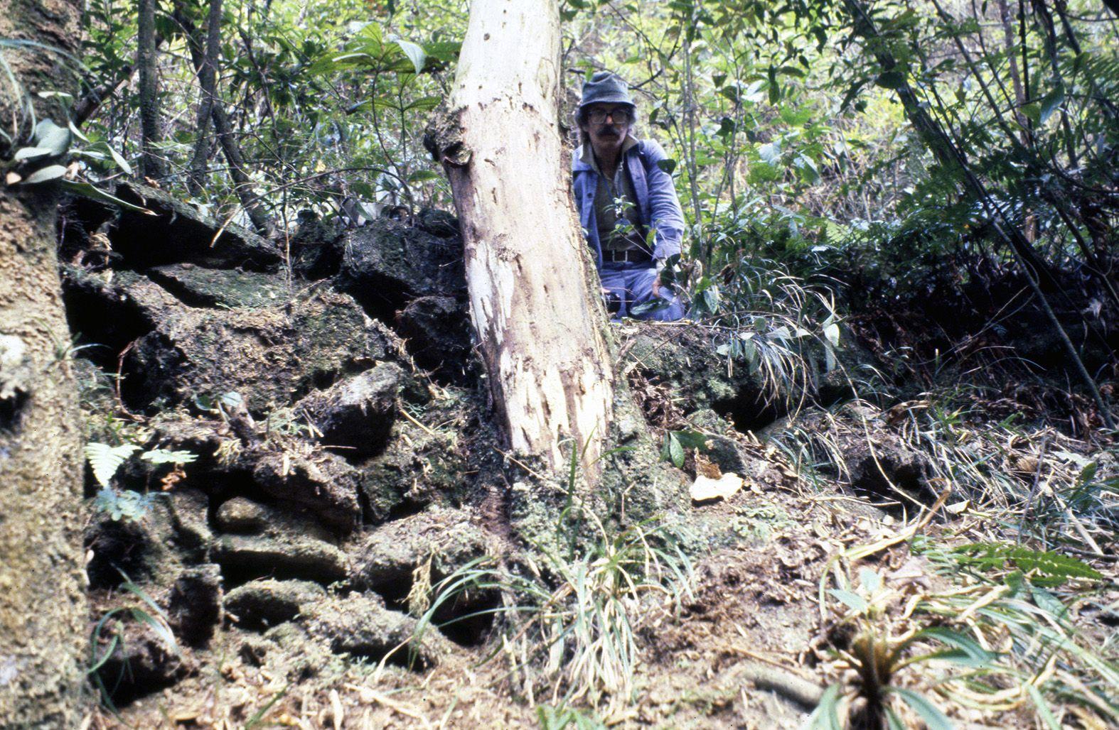 Benedito Lima de Toledo na floresta