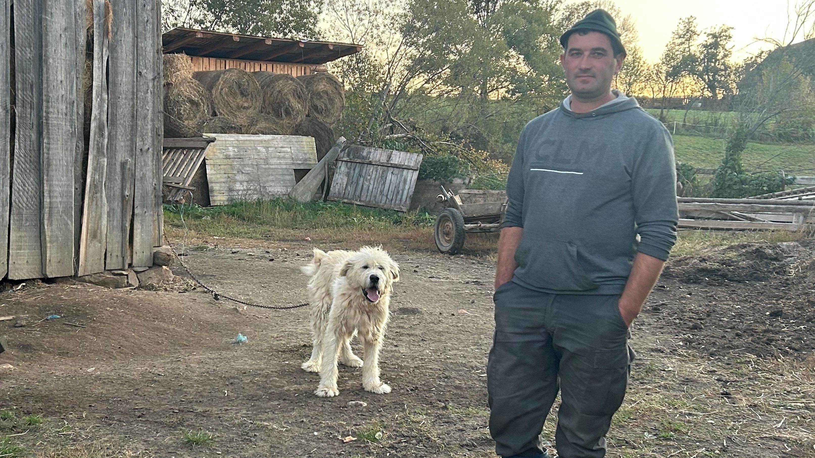 Jožef drži 17 pasa u pokušaju da zaštiti stado od grabljivica 