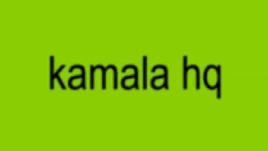 What is Kamala Harriss brat rebrand all about?