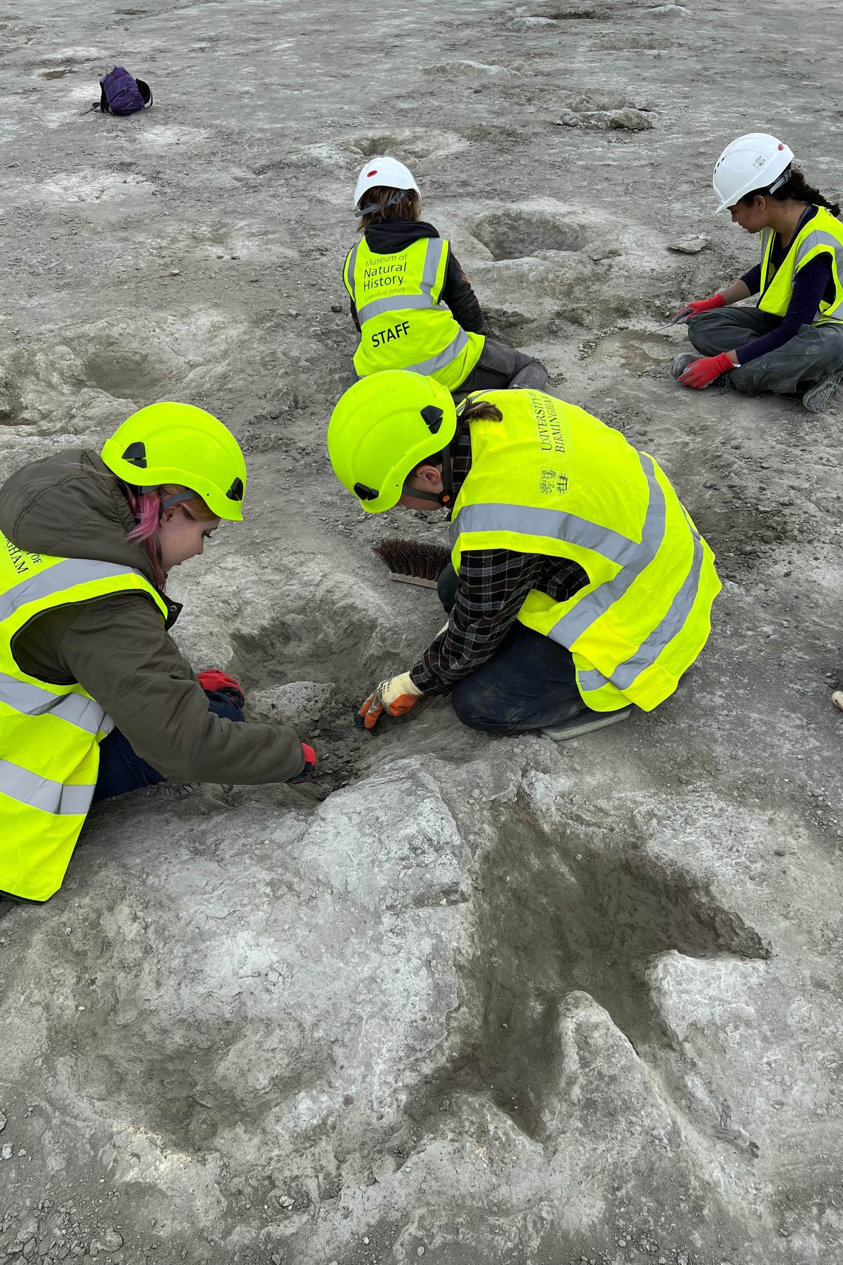 četiri naučnika u fluorescentnim prslucima isa zelenim kacigama čiste tragove dinosaurusa