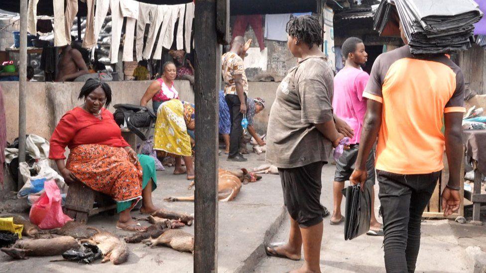 سوق للحوم الأدغال في الكاميرون