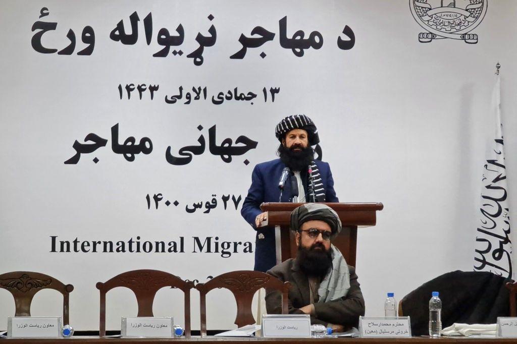 حقانی