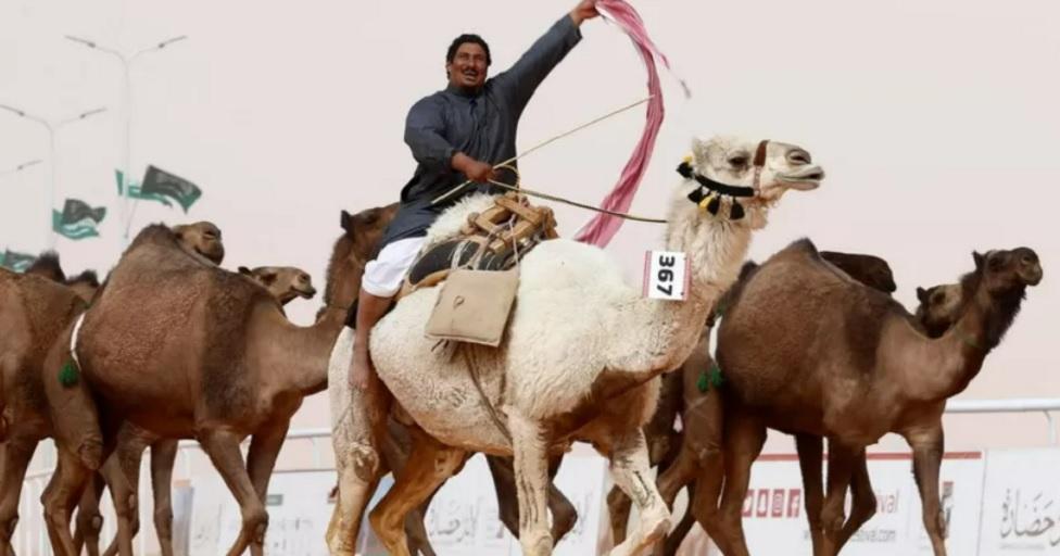 اونٹ