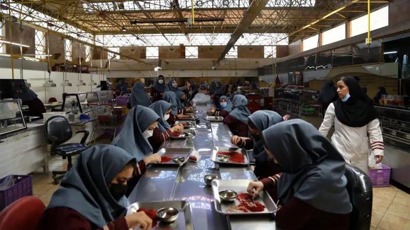 Perempuan yang bekerja di pabrik saffron tidak dianggap sebagai pencari nafkah utama keluarga berdasarkan hukum Iran.