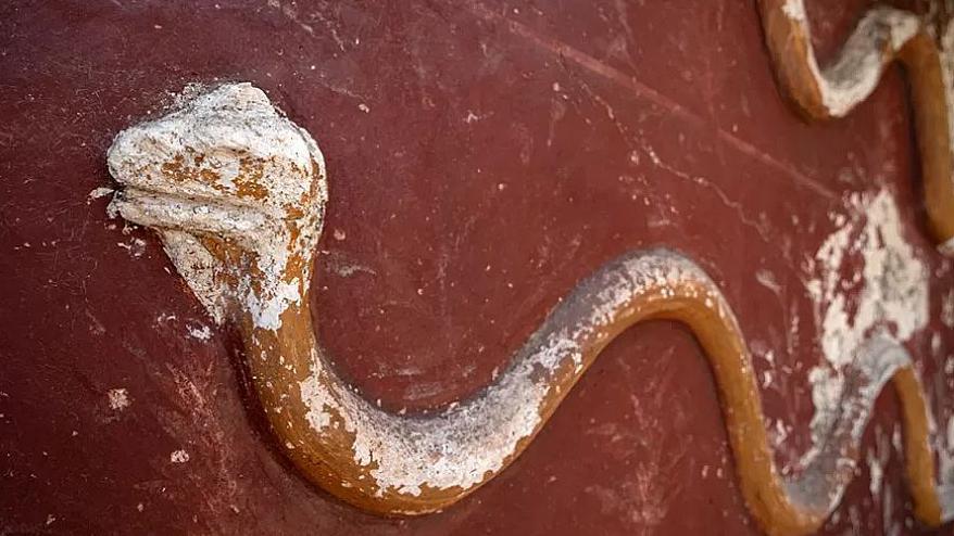 Relieve de serpiente en una pared Relieve de serpiente en una pared