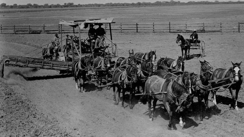 Carruaje con varios caballos