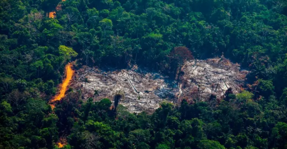 Área de floresta amazônica desmatada