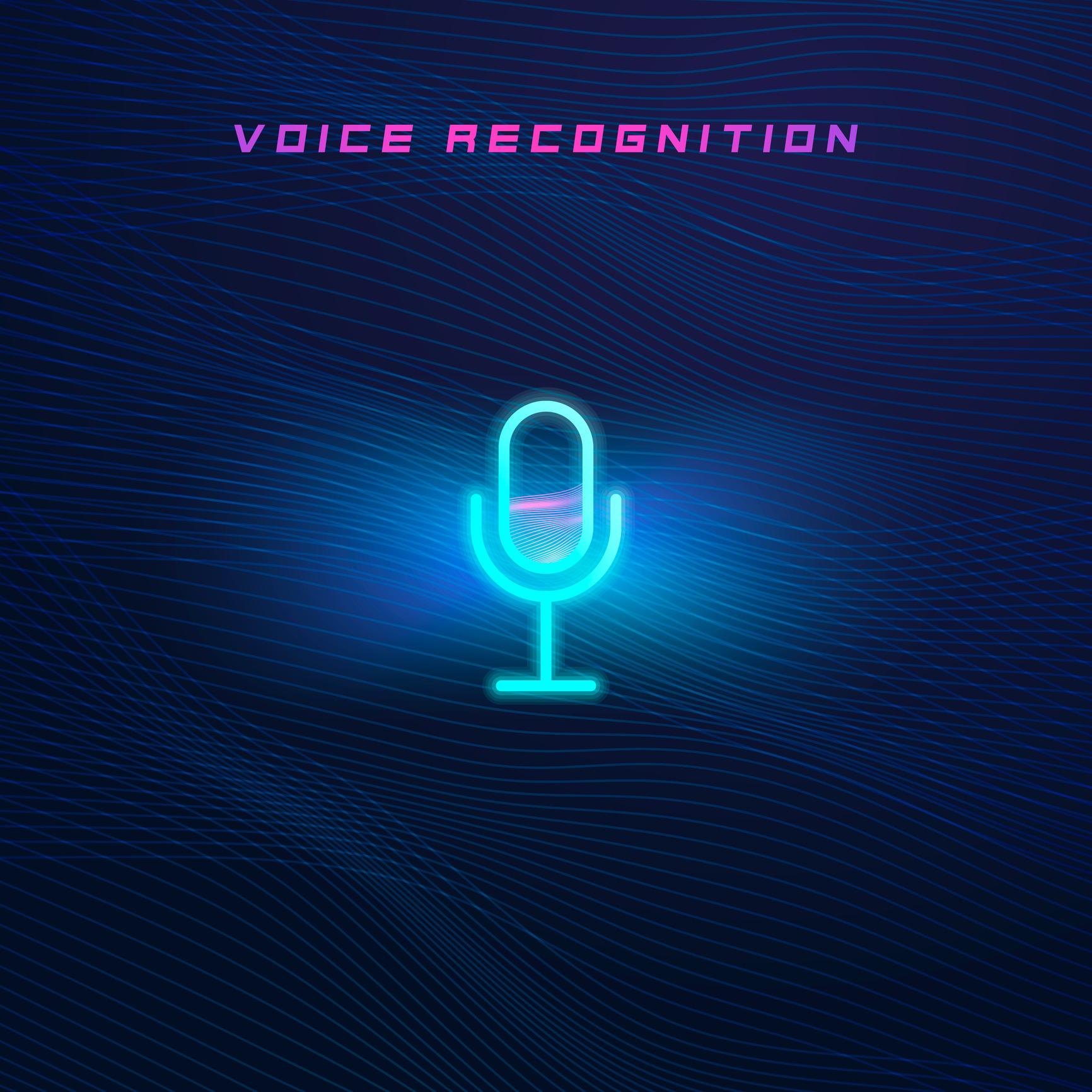 Image of a voice recognition program.
