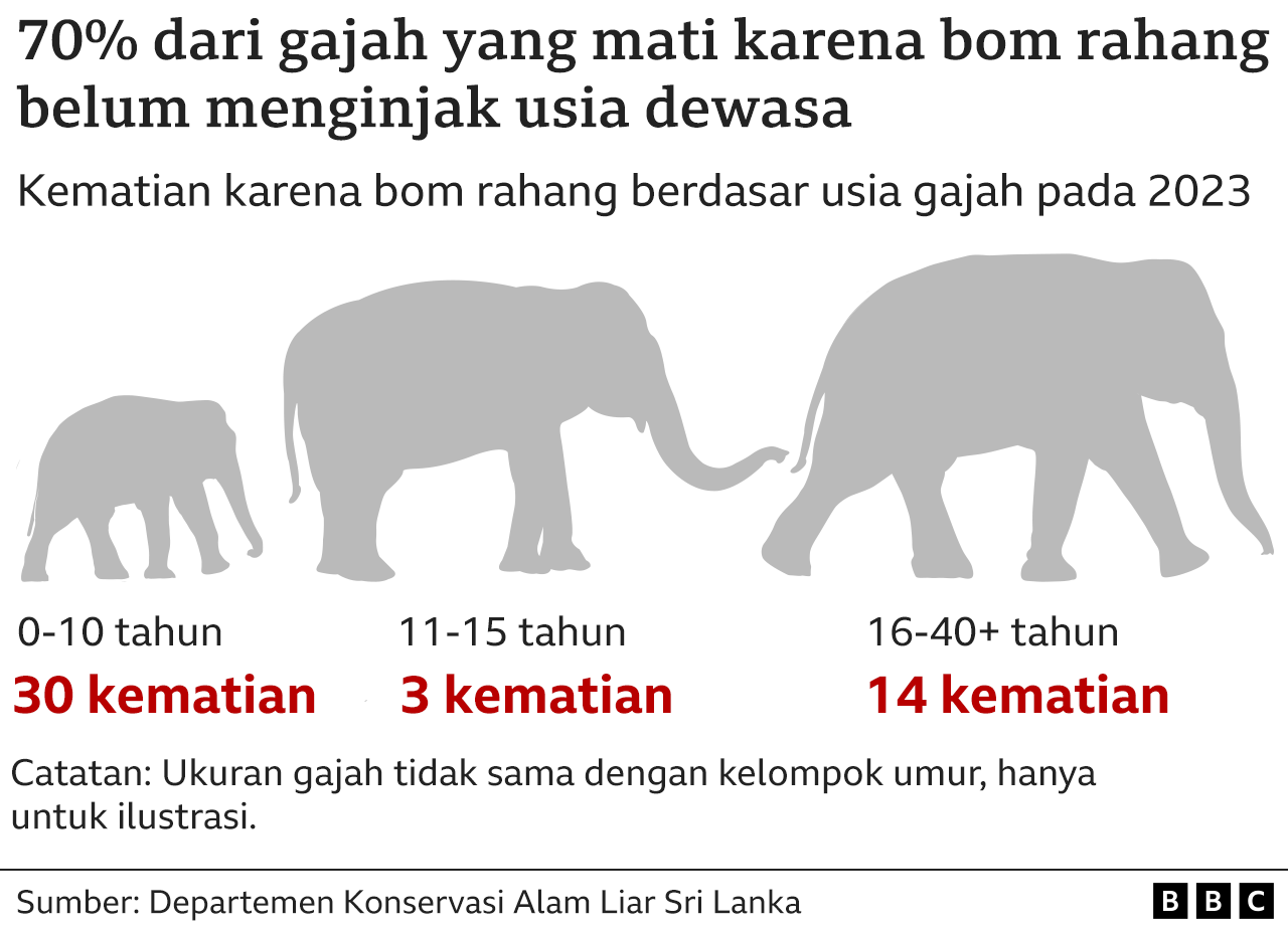 Gajah 