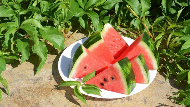 تربوز فلسطین کی علامت کیوں