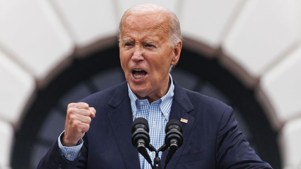 Democrats weigh risks and rewards of losing Biden