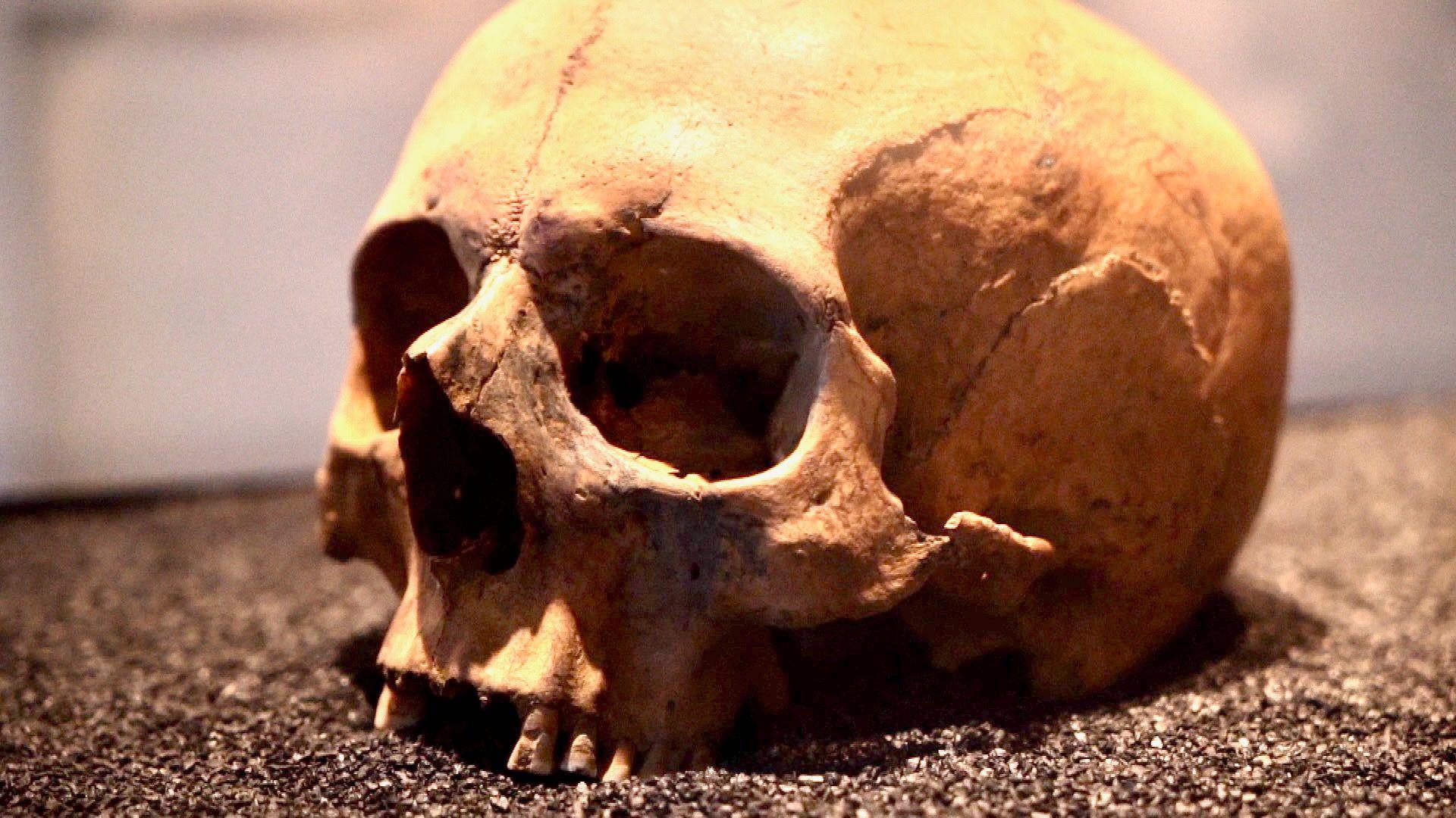 New bone test could rewrite British history, say scientists