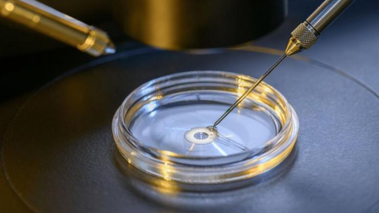 Procedimento de fertilização in vitro