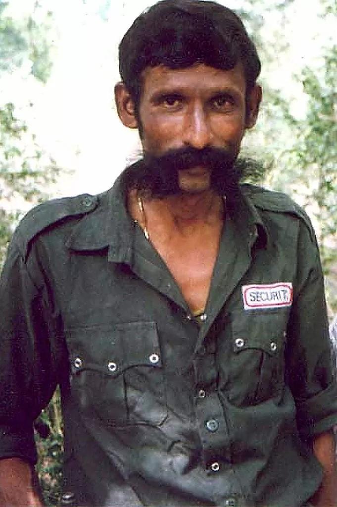 ویرپپن