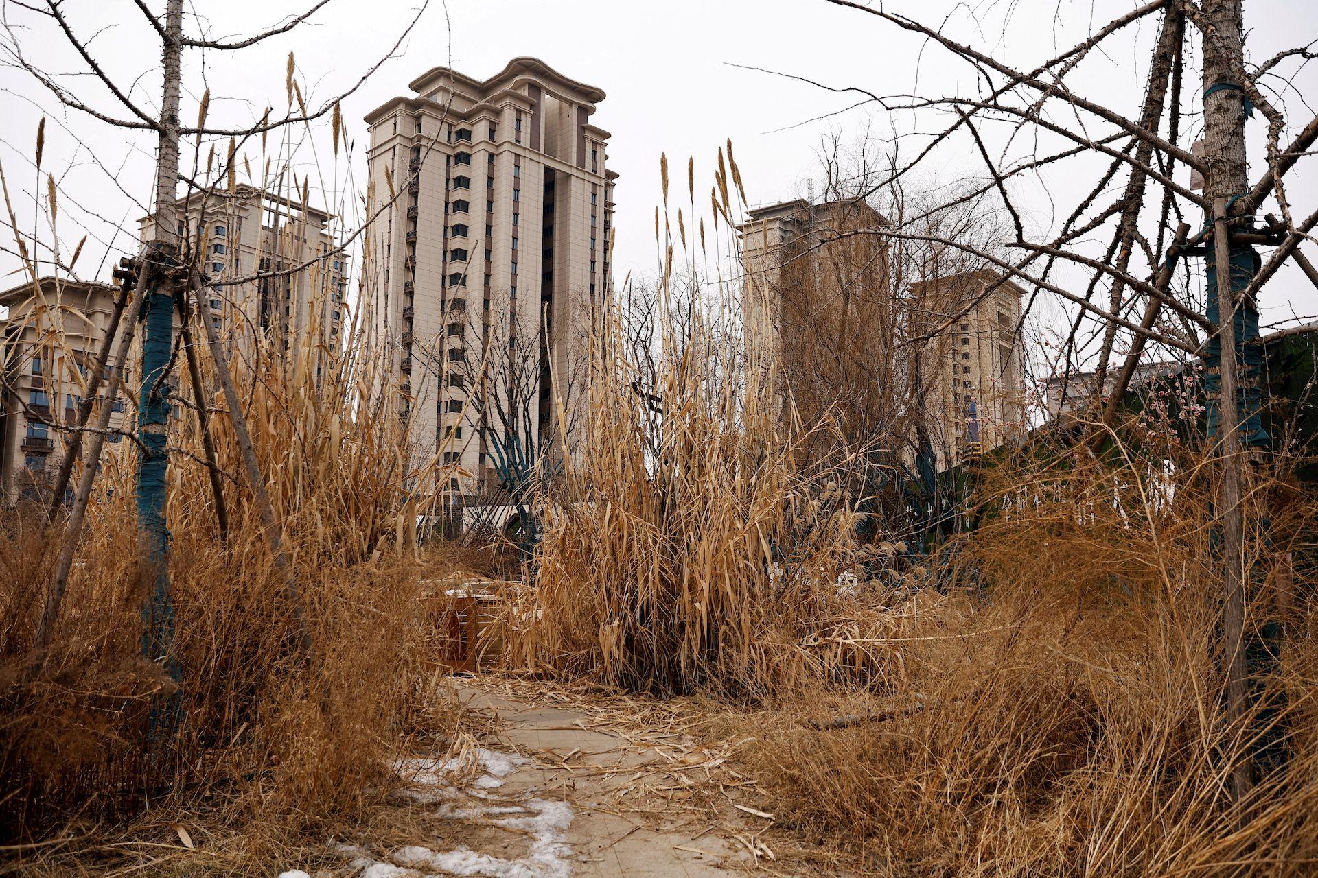 Overgrown grass in front of a few unfinished residential blocks in Hebei Province in China [February 2024]