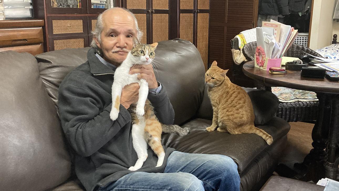 Senhor japonês idoso sentado no sofá com um gato malhado amarelo e um gatinho branco e malhado