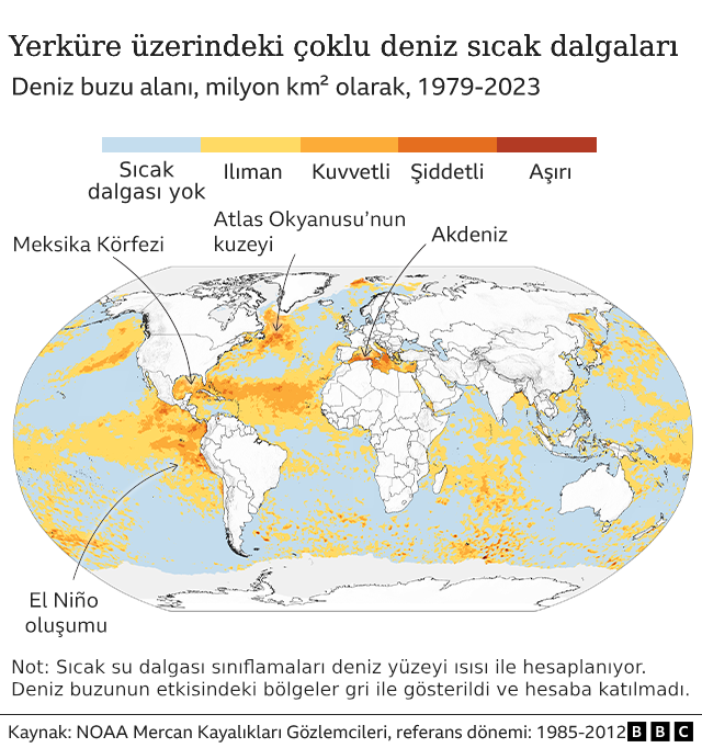 Deniz sıcak dalgaları haritası 