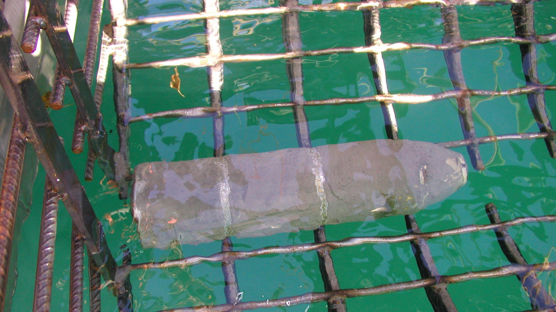 Munição é retirada de lago na Suíça